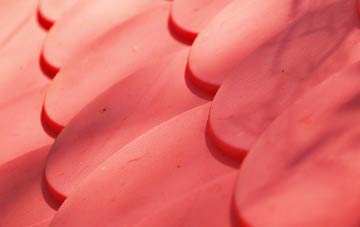 Butleigh plastic roof costs